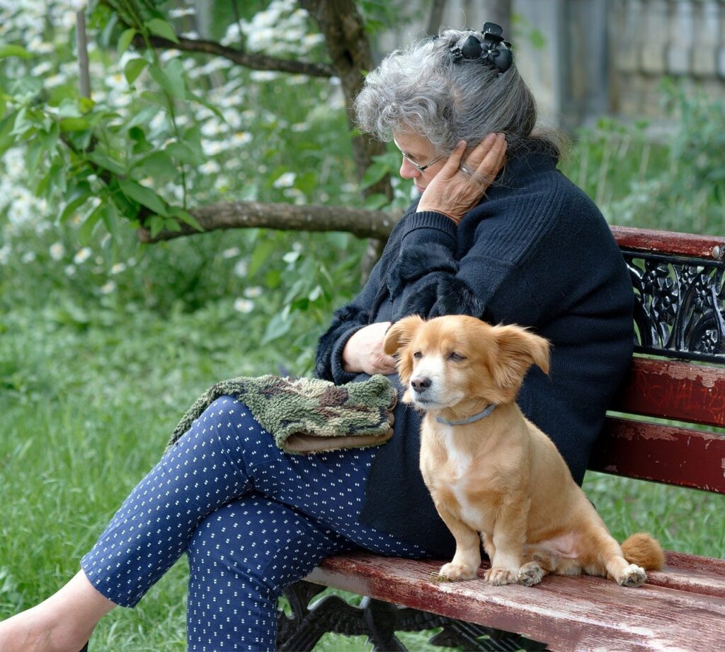 woman, dog, pet